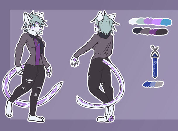 245$ (Front and Back, Extra(+1)