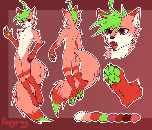 245$ (Front and Back, Extra(+1)